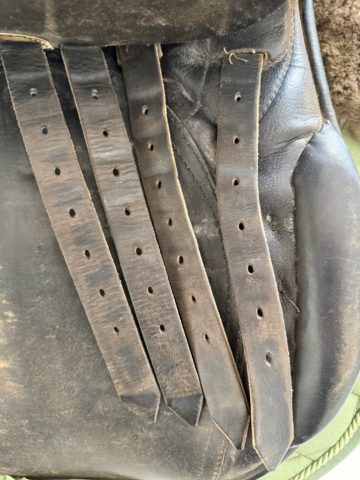 Passier GTD Dressursattel wie Freemove 17 Zoll