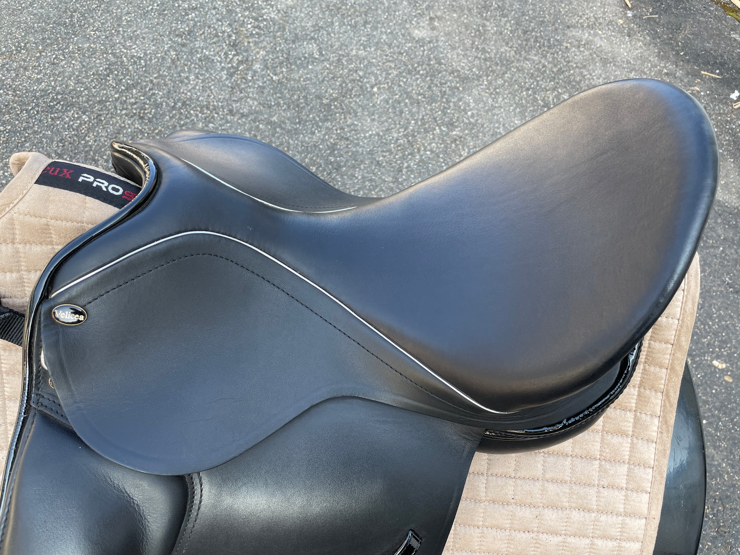 Silla de doma Velicea Coral 17 pulgadas NUEVA