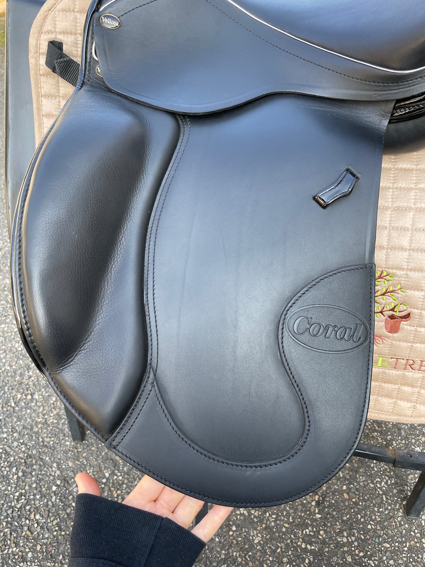 Silla de doma Velicea Coral 17 pulgadas NUEVA