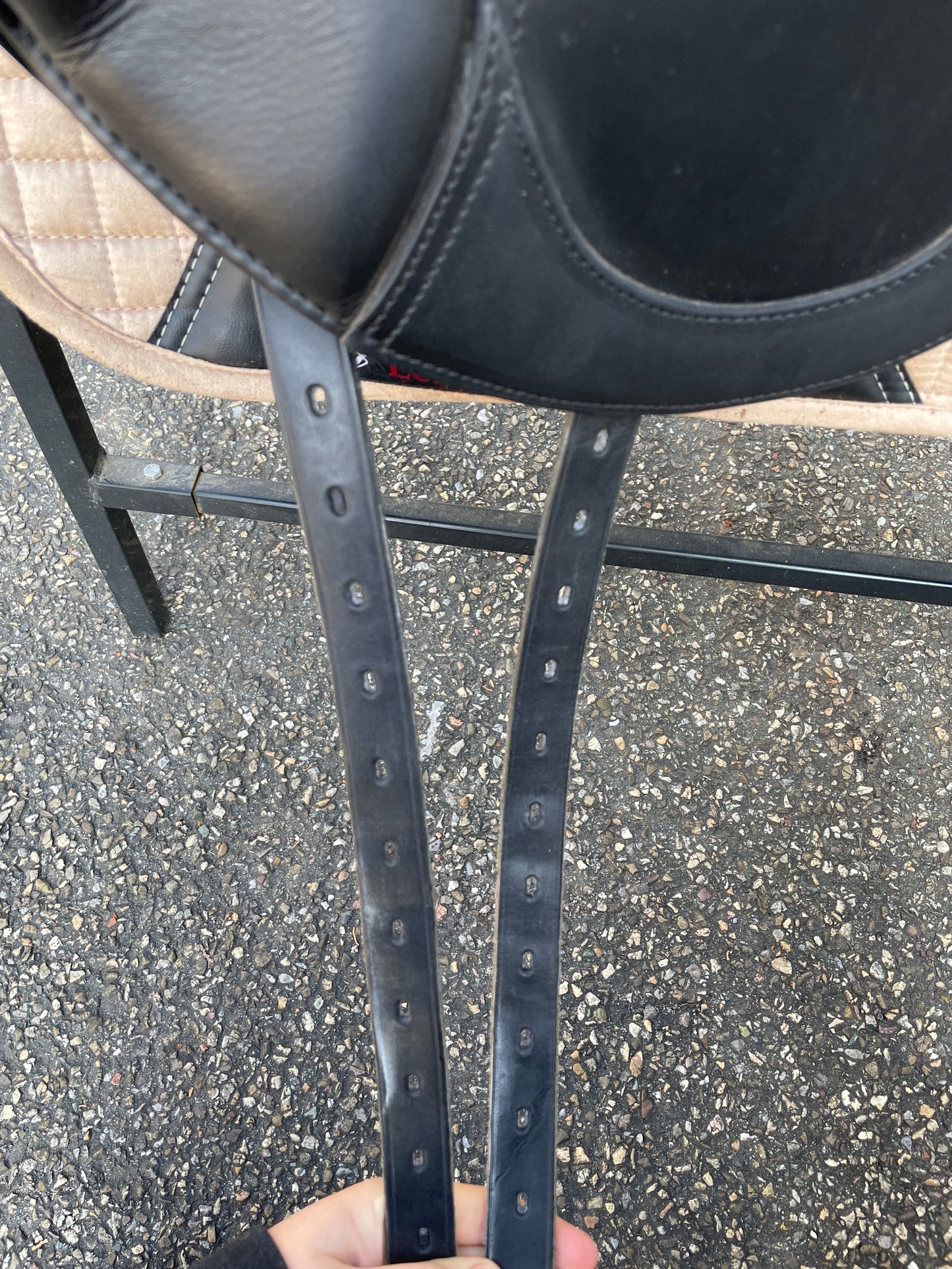 Silla de doma Velicea Coral 17 pulgadas NUEVA