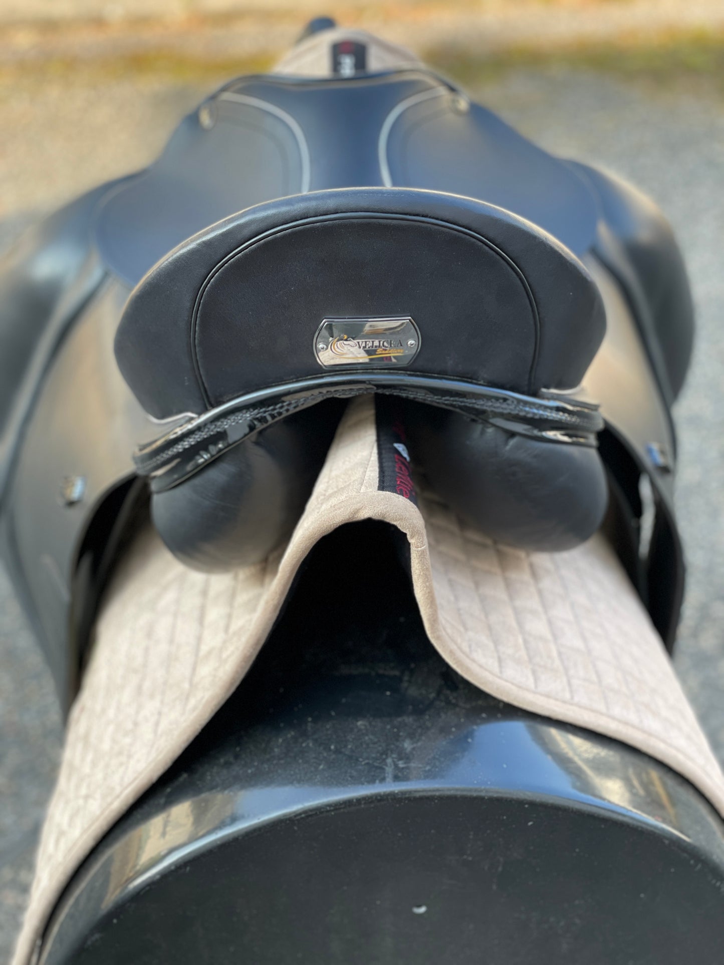 Silla de doma Velicea Coral 17 pulgadas NUEVA