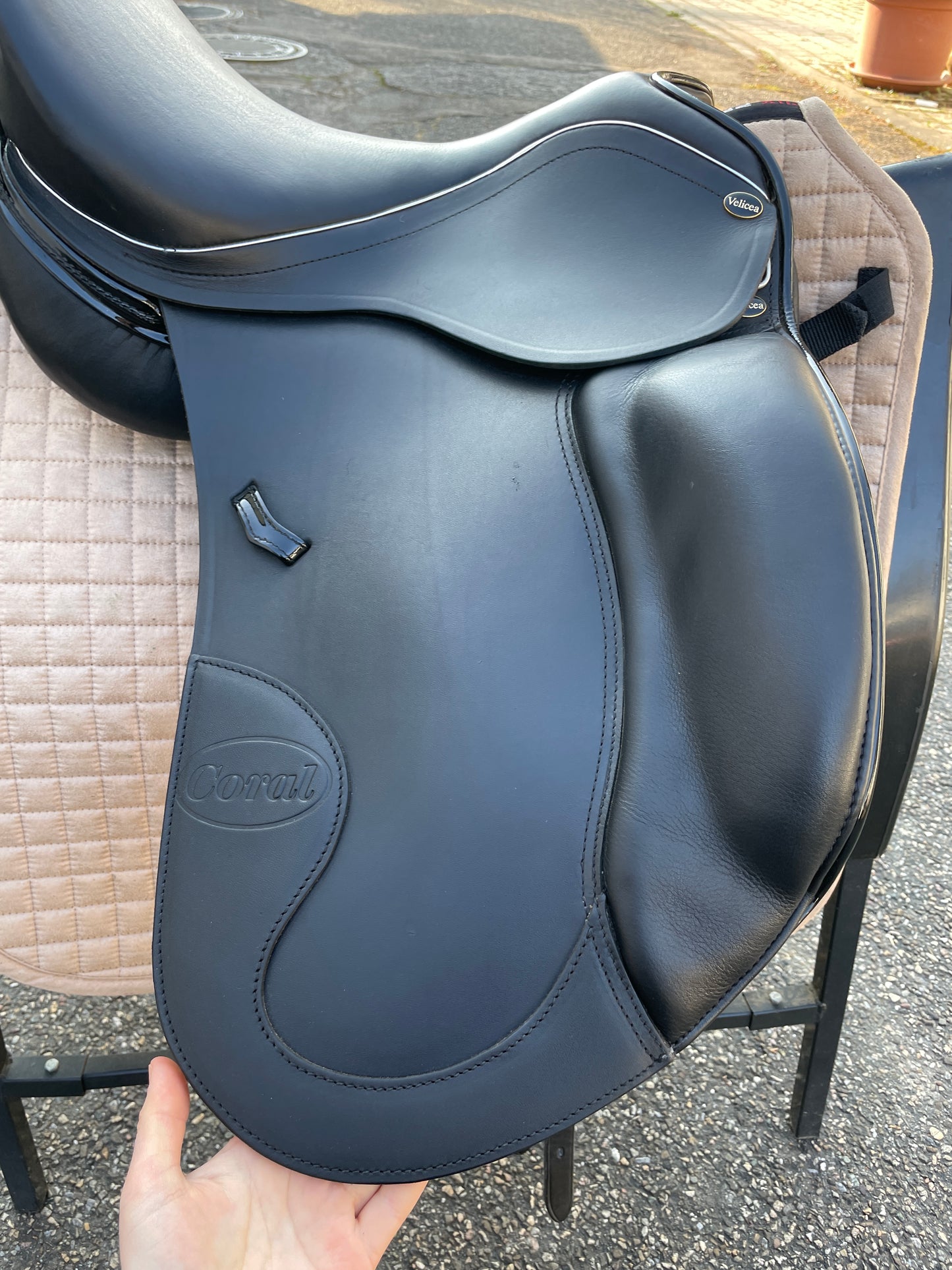Silla de doma Velicea Coral 17 pulgadas NUEVA