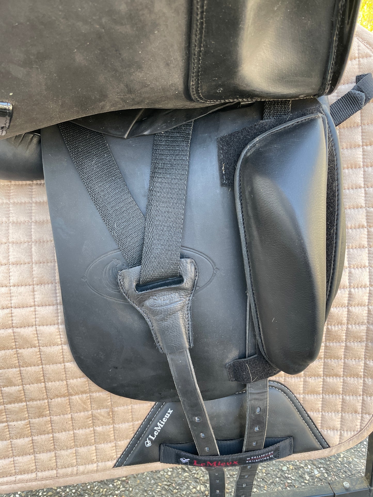 Silla de doma Velicea Coral 17 pulgadas NUEVA