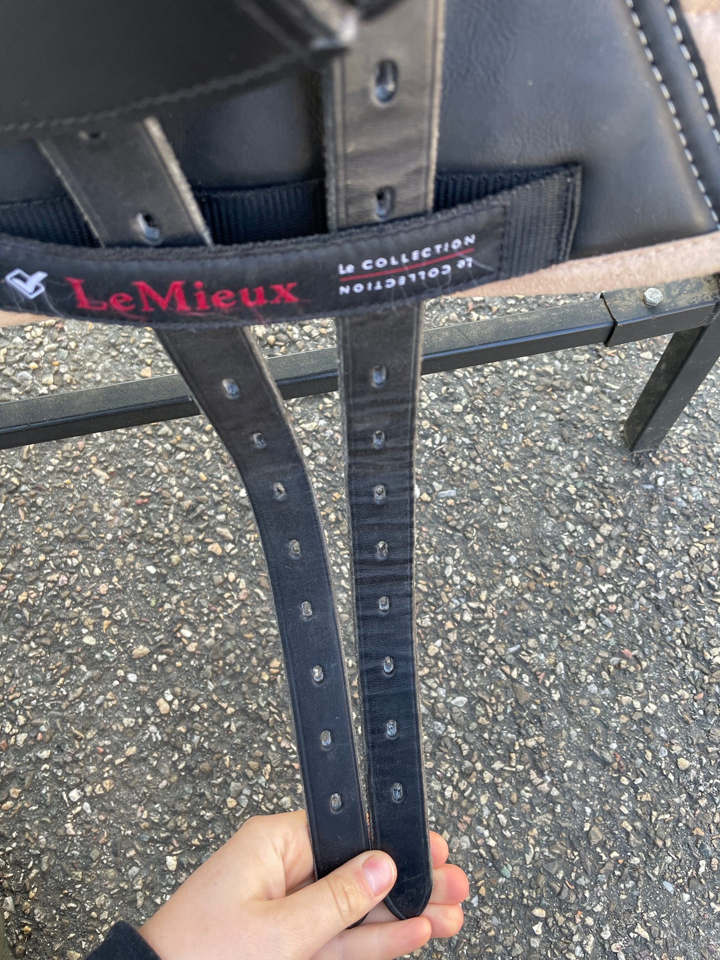 Silla de doma Velicea Coral 17 pulgadas NUEVA