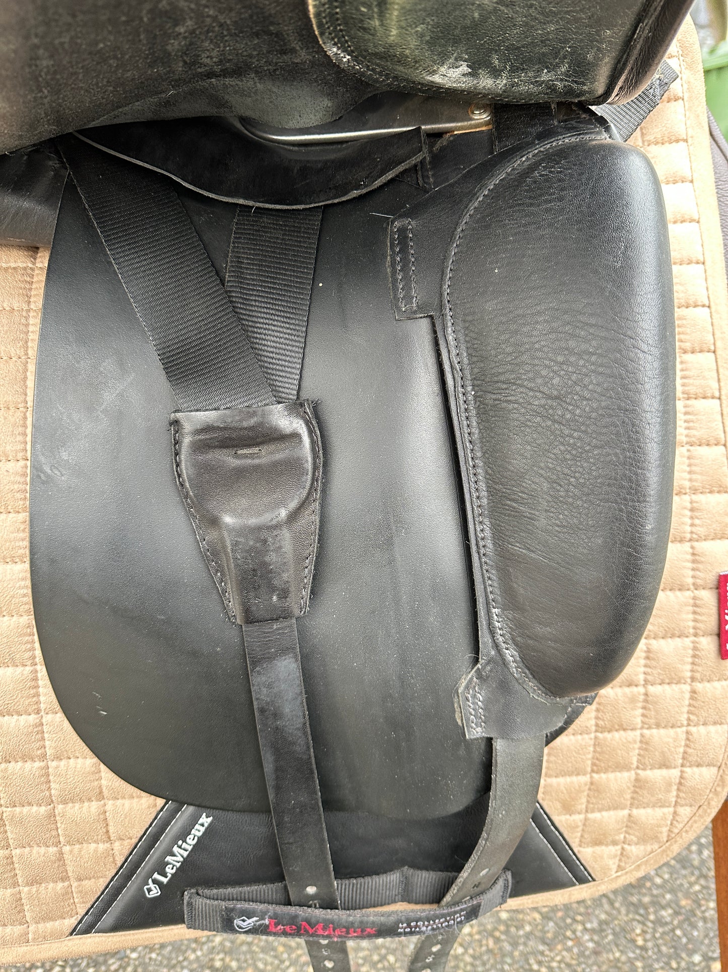 Bucks Dressursattel Centreline 17,5 Zoll